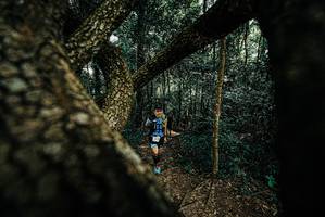 BIB: 
                            <button type="button" onclick="openModal(25666734)" class="btn btn-primary btn-sm float-right btn-popup" data-toggle="modal" data-target=".modal-high-quality">
                        <i class="fas fa-shopping-cart"></i> Add to Cart
                    </button>
                                            <button type="button" onclick="isThisMe(25666734, true)" class="btn btn-success btn-sm float-right btn-popup btn-isme hidden" data-toggle="tooltip" data-placement="bottom" title="นี่คือรูปของคุณใช่ไหม คลิกที่นี่เพื่อเอาเข้าอัลบั้ม">
                        <i class="fas fa-plus"></i> Add to album
                    </button>
                    <button type="button" onclick="isThisMe(25666734, false)" class="btn btn-warning btn-sm float-right btn-popup btn-isnotme hidden">
                        <i class="fas fa-ban"></i> Remove from album
                    </button>